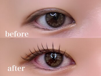 ラーチェ(R'ACE)/フラットラッシュ120本