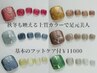 6種から選べる♪上品秋冬デザインフット!足湯・フットシャンプー・ケア付♪