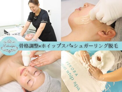 エクラニーク(Eclanique)の写真