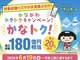 シス チガサキ(SIS_chigasaki)の写真