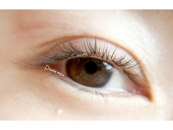 プルームミコ(Plume mico)/全体カラーフラット120本