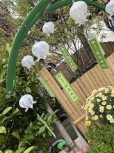 サクラ(Sakura)/東京大神宮は涼を感じました