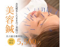 共立総合整骨院 町田鶴川院