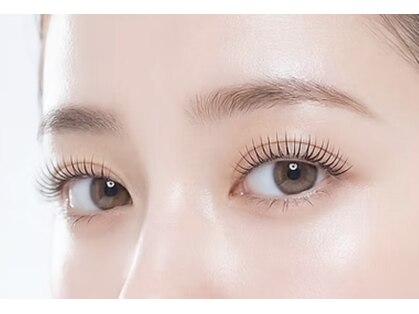 アンテイン(anthein)の写真