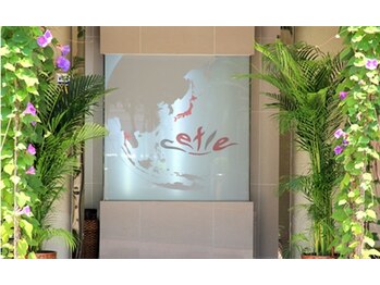 タイリラクゼーションスペース プラスセフィーレ(Thai Reｌaxation Space +CEFLE)/ようこそ＋CEFLEへ♪