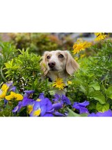 ルブラントーキョー(Le blanc tokyo)/