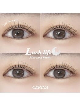 セリーナ 大橋店(CERINA)/Mii/ラッシュリフト（カール）