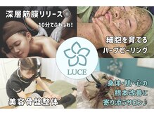 ルーチェ(LUCE)