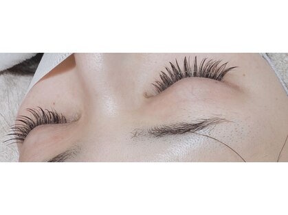 モモンウールーの写真