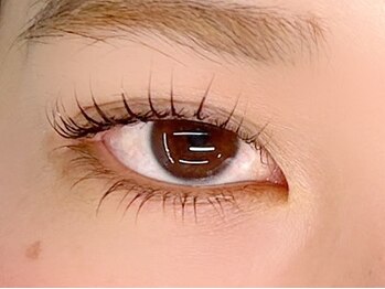 インザピンクリリー(in the pink LILY)/上下パリジェンヌ