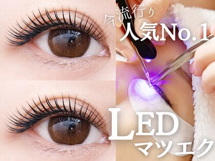 ディアナ(DIANA)の写真