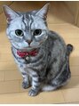 深谷ボディケア接骨院 愛猫です!