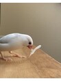 コス(KOSU)&nbsp;鳥が好きです。
