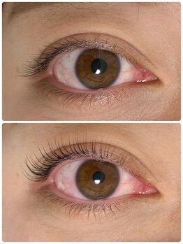 プルームミコ(Plume mico)/まつ毛パーマ～カールタイプ～