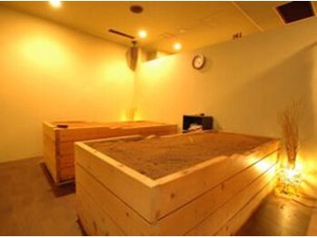 セラビシャン/酵素SPA