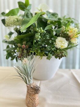 マシュマロハンド/肩こり/冷え/むくみ改善