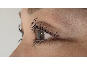 ペルシャ(Persian)/お客様デザイン(担当:宮井)