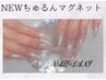 迷ったらコレ【オフ０円】新色ちゅるんフラッシュマグネットワンカラー ¥6590