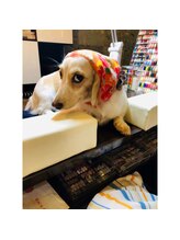 ルブラントーキョー(Le blanc tokyo)/