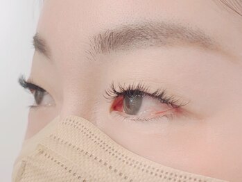 キャメル(camel)/【バインドロック】190束