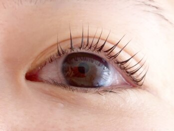 シマー(shimmer)/パリジェンヌラッシュリフト