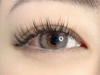 カミエユニ(Kamie-uni-)/フラットラッシュ140本