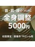 【首/肩/腰…とにかく身体が辛い方に】全身調整/迷ったらコレ！¥5000