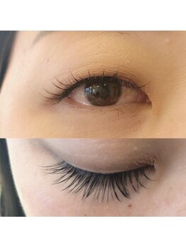 フランセス(Frances)/セクシーデザイン