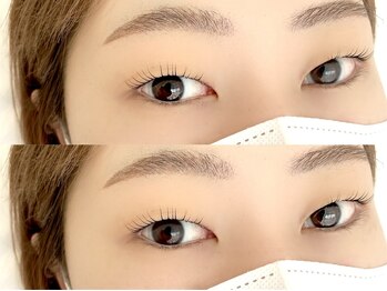 シャルフ(shalf)/