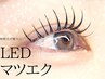 【宇都宮/LEDマツエク】6週以内リペア80本まで ¥6,900