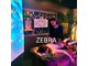 ゼブラ 上野店(ZEBRA)の写真