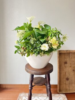 マシュマロハンド/肩こり/冷え/むくみ改善