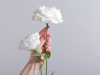 アトリエ サチ(atelier sachi)/image