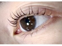 リヒ(LIHI)/立ち上げカール【LIHI】