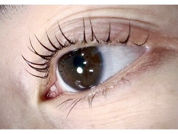 リヒ(LIHI)/立ち上げカール【LIHI】