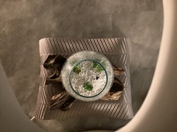 ヴィベル(vi Belle)/ベットの下には、、、