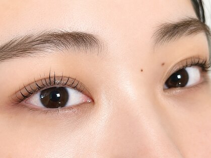 エイチアンドコー(H&Co.)の写真