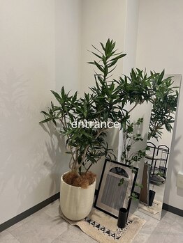 エン バイ クート 2号店(en_by ku-to)/可愛い待合と観葉植物がお出迎え