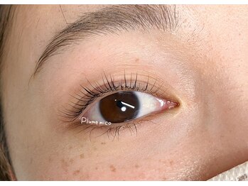 プルームミコ(Plume mico)/まつ毛パーマ～フラットタイプ～