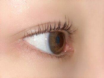 アンシル(ANCIL)/まつげパーマ 60分 ¥3780