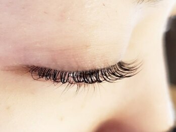 バンブー(bamboo)/まつ毛パーマ