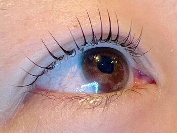 レミア 関内(REMIA)/11月　メーテルロッド