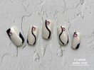 PG011535754