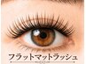 【人気No.6】【LEDグルー】フラットマットラッシュ エクステ(上)付け放題