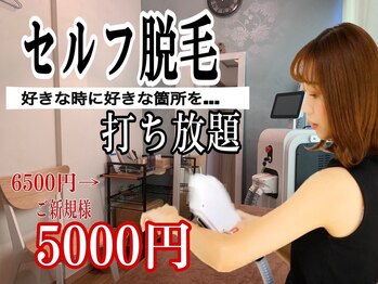 ケイナイン(K-9)