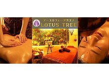 ロータスツリー(LOTUS TREE)