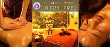 ロータスツリー(LOTUS TREE)