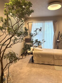 メグル(meguRu)/植物に癒される空間