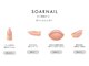 ソアネイル 恵比寿(SOAR NAIL)の写真
