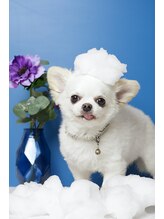 ラテプラス(LATEE＋)/